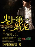 史上第一宠婚，早安机长