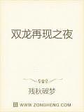 雙龍再現之夜