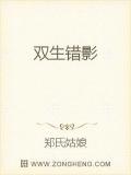 雙生錯影
