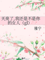 天亮了,我還是不是你的女人（gl）