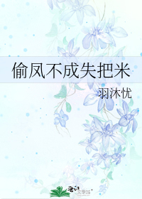 偷鳳不成失把米