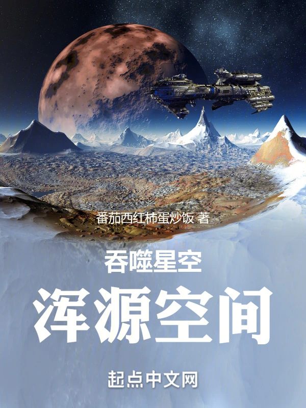 吞噬星空：浑源空间 作者：番茄西红柿蛋炒饭