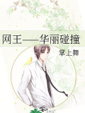 網(wǎng)王——華麗碰撞