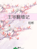 王爷□□记