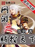 網遊之賊控天下