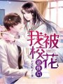 我被校花逆推後