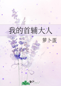 我的首輔大人