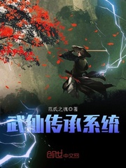 武仙傳承系統