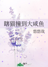 瞎貓撞到大咸魚