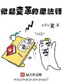 掀起變革的魔法師