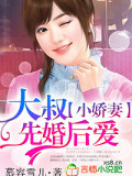小娇妻，大叔先婚后爱
