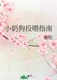 小奶狗投喂指南