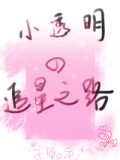 小透明的追星之路
