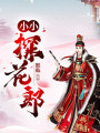 小小探花郎