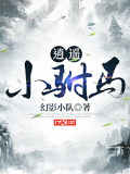 逍遥小驸马