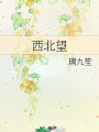 西北望