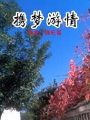 攜夢遊情