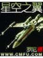 星空之翼