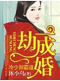 一劫成婚,冷少別霸道