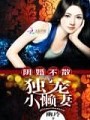 陰婚不散:獨寵小懶妻