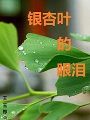 銀杏葉的眼淚