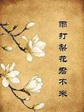 雨打梨花君不來