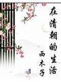 在清朝的生活