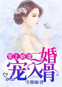 掌上嬌妻，二婚寵入骨