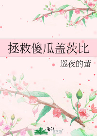 拯救傻瓜蓋茨比