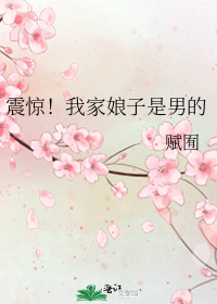 震驚!我家娘子是男的
