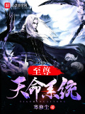 至尊天命系統