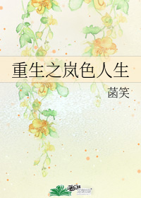 重生之嵐色人生