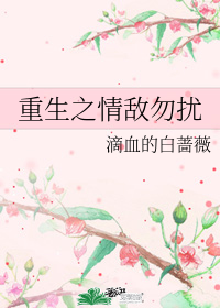 重生之情敵勿擾
