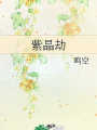 紫晶劫