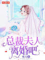 總裁夫人離婚吧