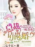 總裁請離婚
