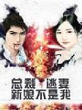 總裁逃妻:新娘不是我